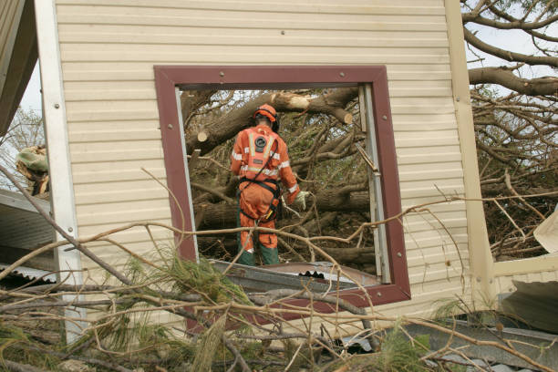  El Lago, TX Tree Services Pros